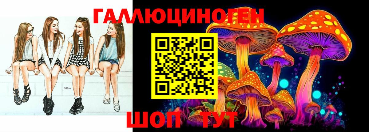 Псилоцибиновые грибы Cubensis  Вход с VPN  Нижнекамск  Галлюциногенные грибы Psilocybe 